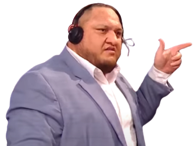 joe samoa wwe lesnar504