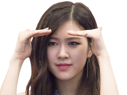 Sticker blackpink rose kpop other par Negane