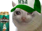 rsa-other-triste-casquette-chat
