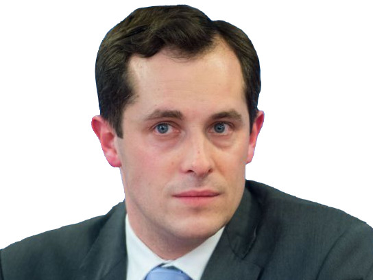 nicolasbay politic fritz