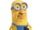 other-larry-minion-chanceux