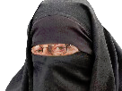 risitas-islam-porno-juif-f-issou-16-tag-larry-voile-sionniste-cache