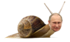 politic-poutine-president-russie-memes-visage-sourire-meme-vladimir-escargot