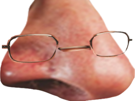 juif silverstein chance la nez larry