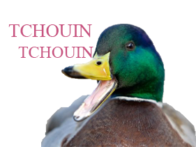 matisse risitas pute canard tchoin