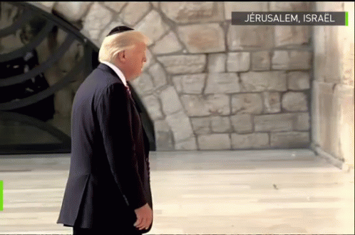 president risitas trump donald jerusalem juif usa argent gif
