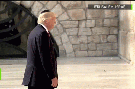 president-risitas-trump-donald-jerusalem-juif-usa-argent-gif