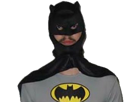 batman-other-ok-signaleur