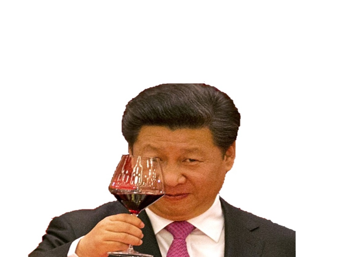 chinois xi jinping politic vin