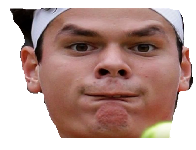 tennis raonic other funnyface