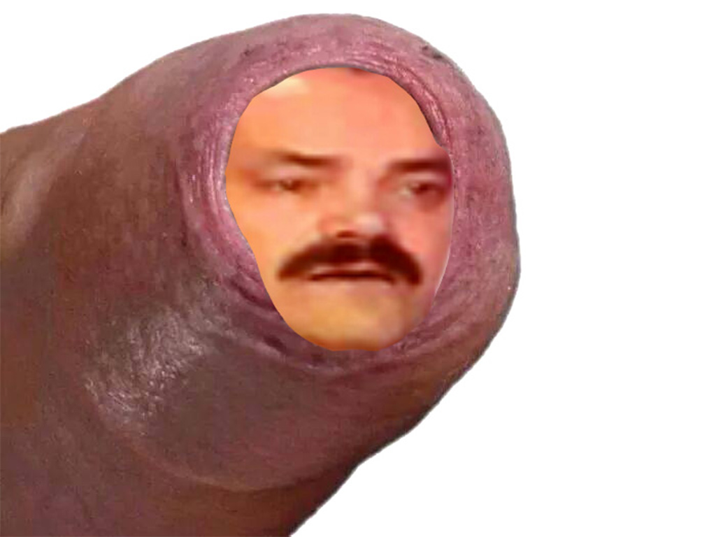 penis risiteub risitas bite teub