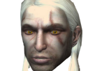 other-witcher-the-geralt