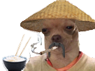 fume-risitas-chinois-chien