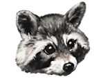 stream twitch television tv emote raccattack emoticone
