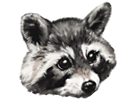 stream-twitch-television-tv-other-emote-raccattack-emoticone