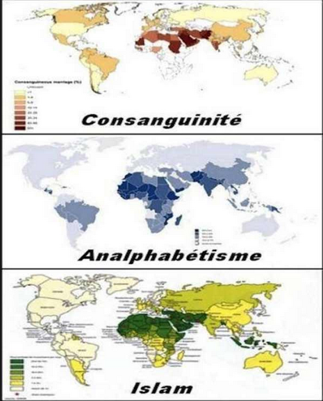 ecto islam monde risitas