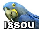 risitas-macaw-issou-other-blu-spix