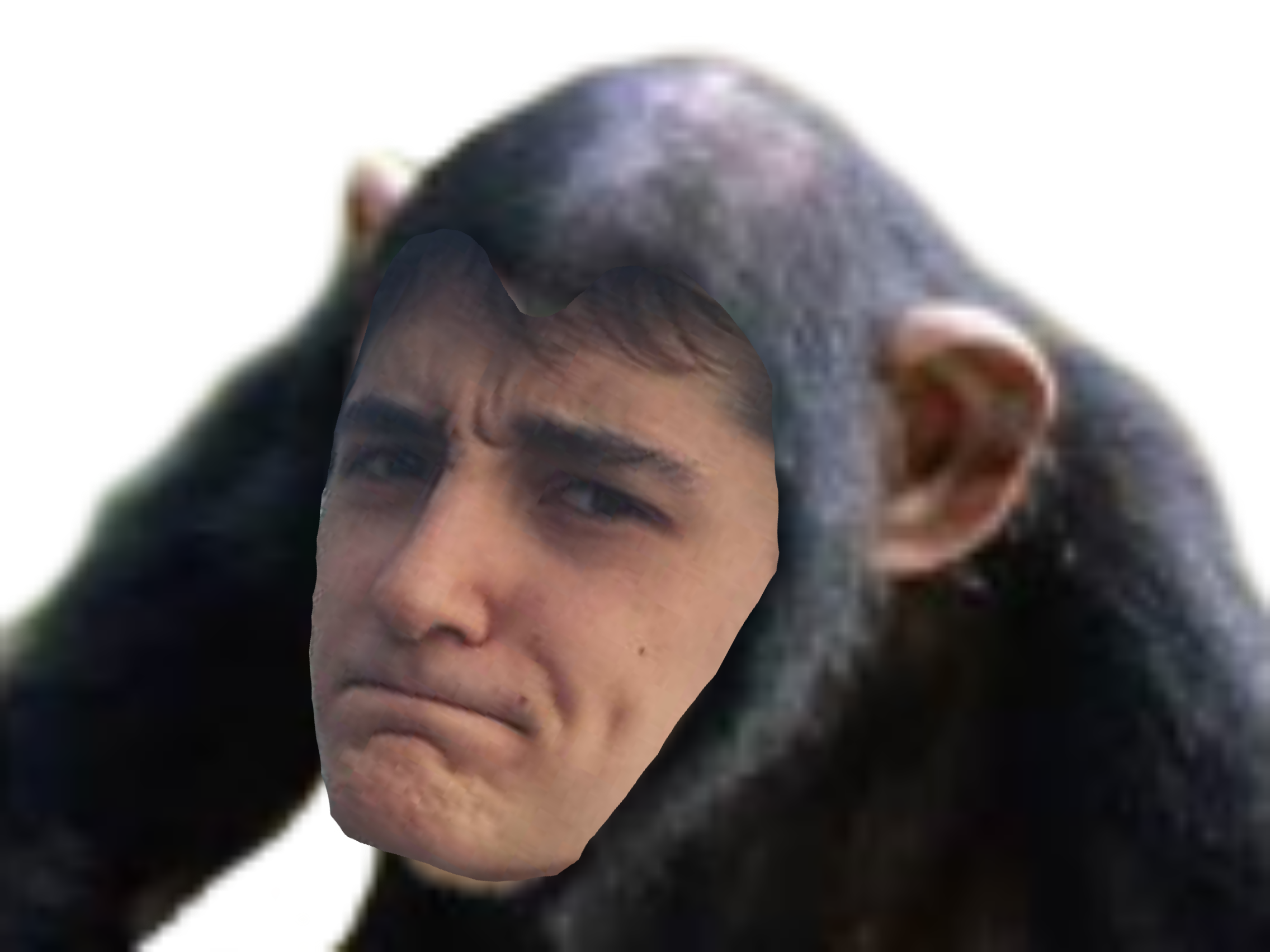 singe 15cm atlasinge cheveux namek verts atlas