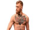 sport-ufc-poing-mcgregor-connor-cage-other-street-combat