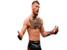 cage-ufc-combat-poing-street-sport-other-mcgregor-connor