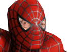 other-chance-spiderman-larry-superheros-masque