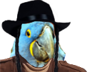 blu-spix-other-juif-ara-macaw