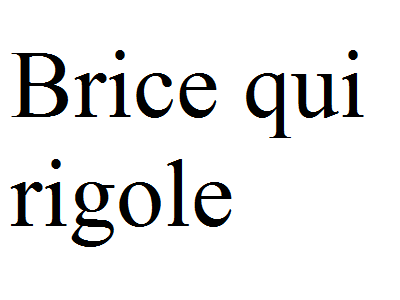 texte brice rigole eco