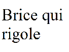 texte-other-brice-rigole-eco