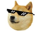 chien-other-cool-doge