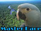 spix-other-foret-master-amazone-macaw-blu