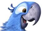 blu-joie-macaw-spix-rio-other