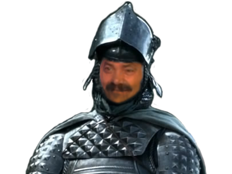 arryn chevalier armure risitas