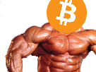 muscu risitas bitcoin