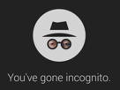 other-navigation-larry-privee-incognito-internet