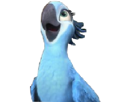 imagines-serait-macaw-perla-fabuleux-rio-tu-blu-other-ce-spix