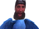 other-mort-lopez-rio-macaw-spix-gitan-blu