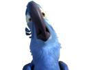 wtf-other-spix-macaw-blu-rio