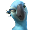 macaw-other-perla-blu-spix-banane