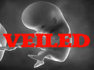 veiling-avortement-fetus-risitas-simone-foetus-veil-veiled