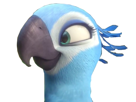 macaw-other-perla-swag-rio-spix-blu