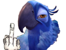 fuck-spix-macaw-rio-blu-other-doigt
