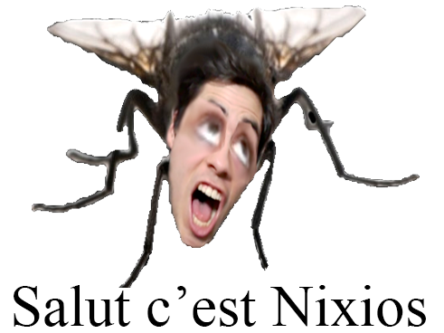 nixios mouche risitas insecte moustique