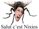 nixios-mouche-risitas-insecte-moustique