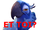 blu-other-et-macaw-spix-rio-toi