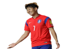 min-heung-asiatique-other-son-dommage-football