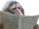 other-news-lecture-singe-journal