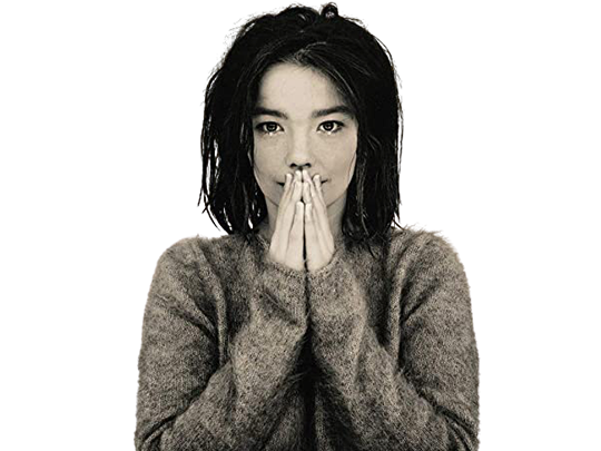 debut pleure bjork