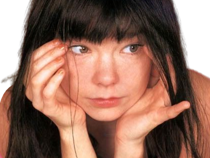 risitas bjork akt chanteuse femme aesthetic shadi potit poti