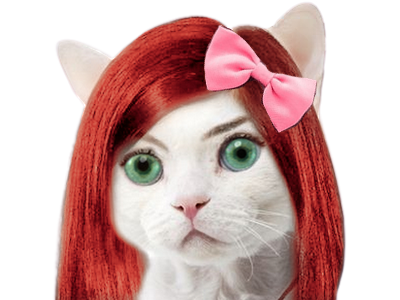 chat mims rousse alicia ruban