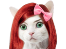 chat-mims-rousse-alicia-ruban